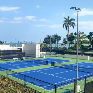 sơn sân tennis